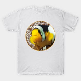 Anemone fish | Close Up! | T-Shirt